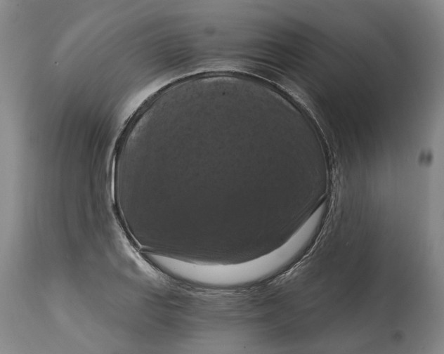 X0000114731127200911121749