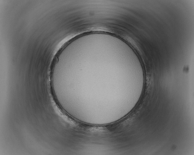 X0000114731133200911121749