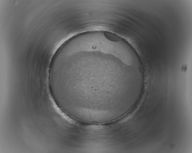 X0000114731134200911121749