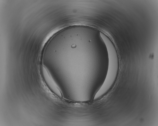 X0000114731138200911121749