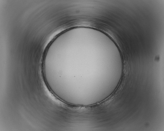 X0000114731139200911121749