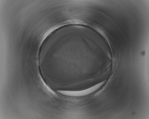 X0000114731141200911121749