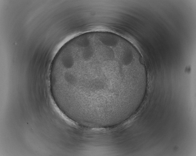 X0000114731142200911121749