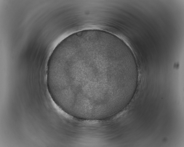 X0000114731143200911121749