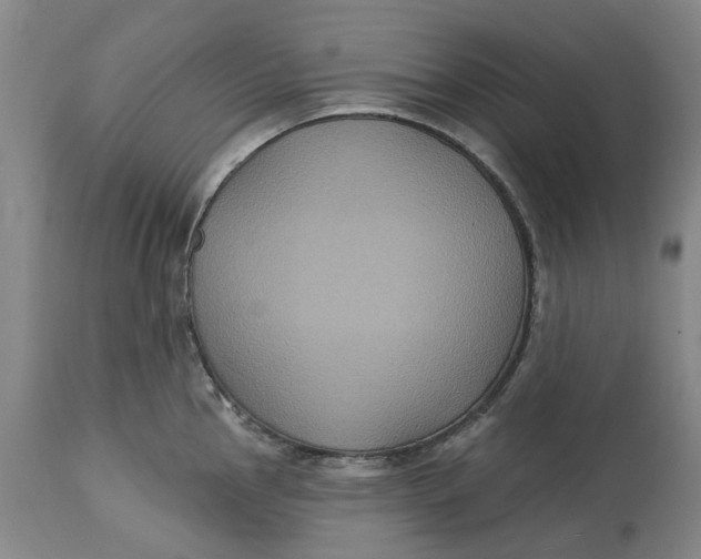X0000114731145200911121749