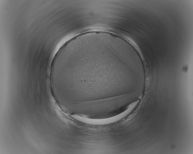 X0000114731146200911121749