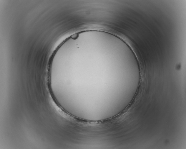 X0000114731147200911121749