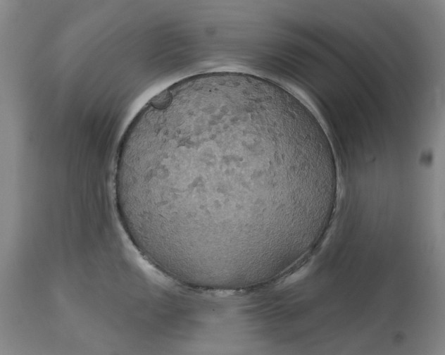 X0000114731149200911121749