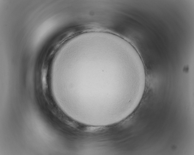 X0000114731150200911121749