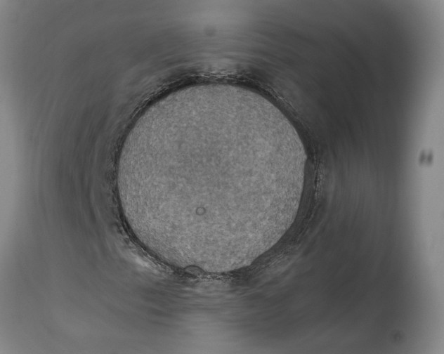 X0000114731153200911121748