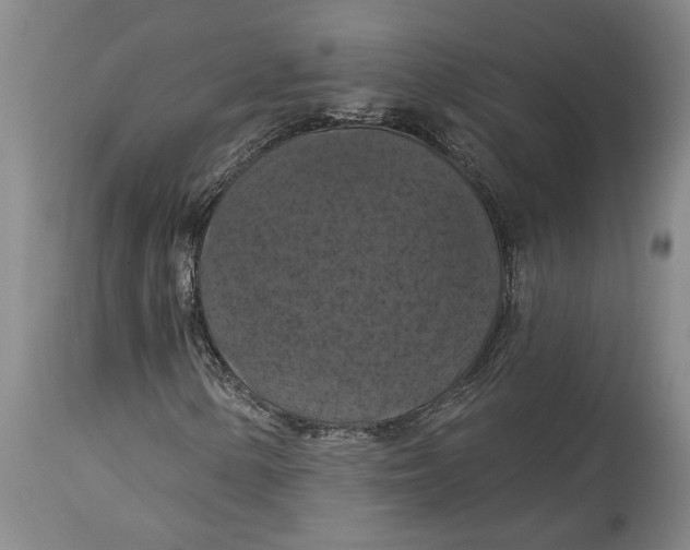 X0000114731154200911121748