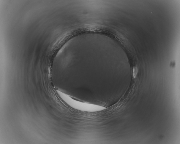 X0000114731155200911121748
