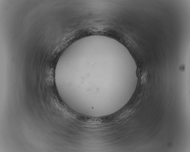 X0000114731156200911121748