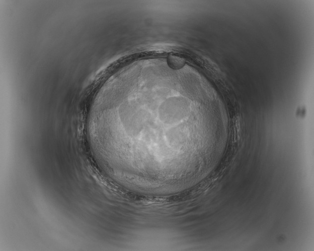 X0000114731158200911121748