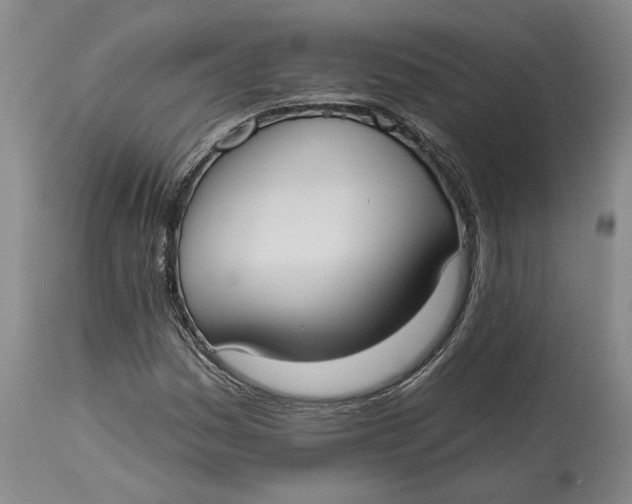 X0000114731161200911121748