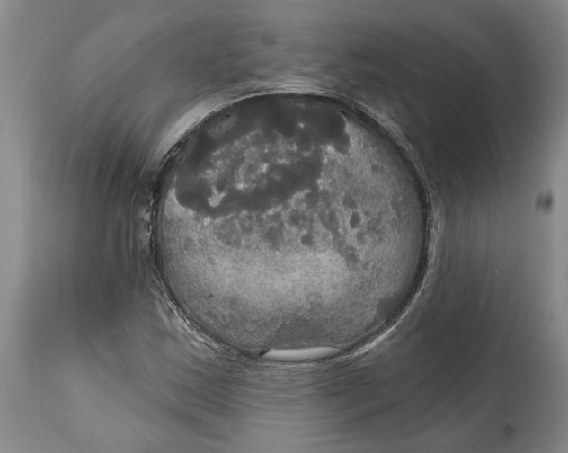 X0000114731163200911121748