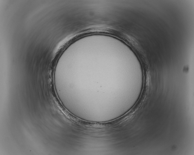 X0000114731164200911121748