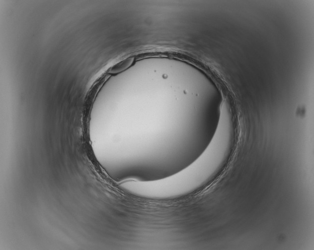 X0000114731165200911121748