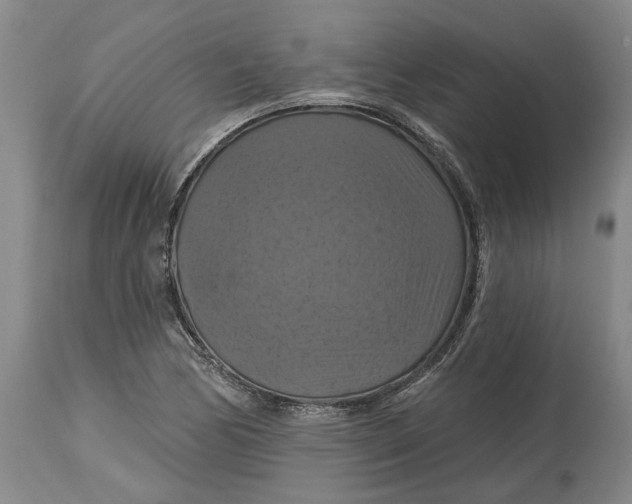 X0000114731170200911121748