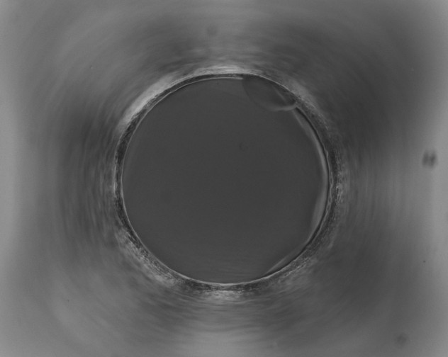 X0000114731173200911121748