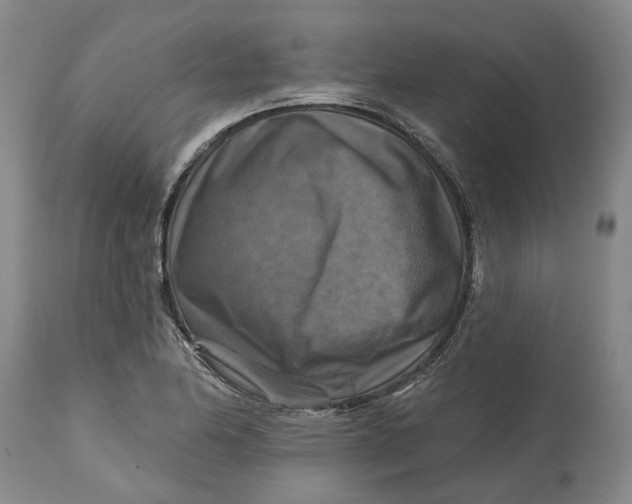 X0000114731174200911121748