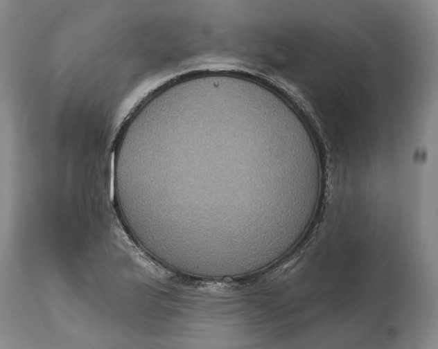 X0000114731175200911121748