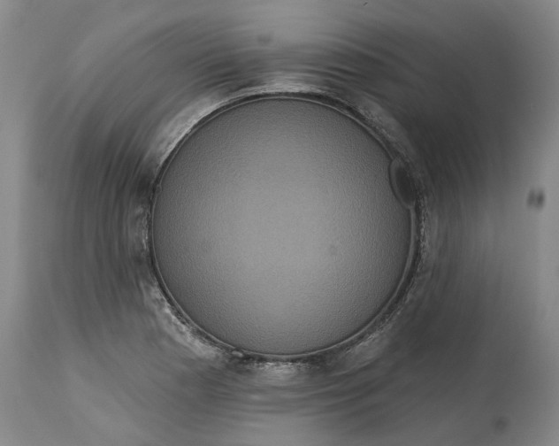X0000114731177200911121748