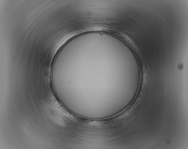 X0000114731178200911121748