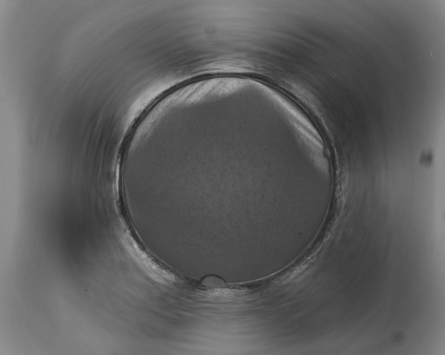 X0000114731179200911121748