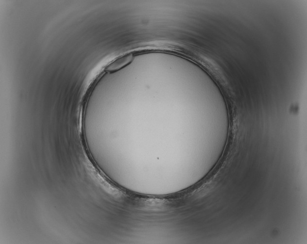 X0000114731180200911121748