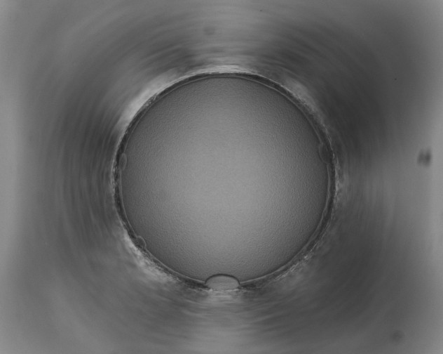 X0000114731181200911121748