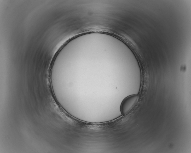 X0000114731182200911121748