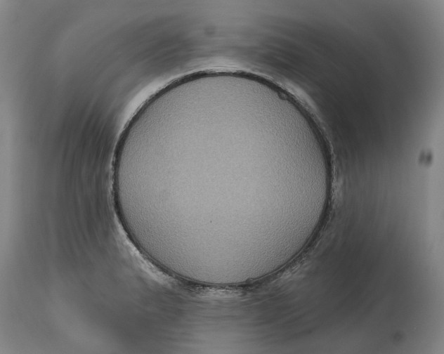 X0000114731183200911121748
