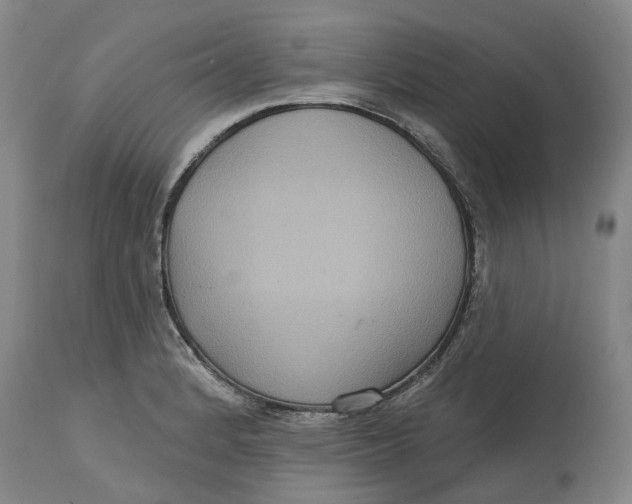 X0000114731184200911121748