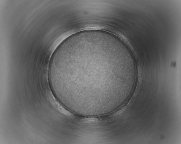 X0000114731186200911121748