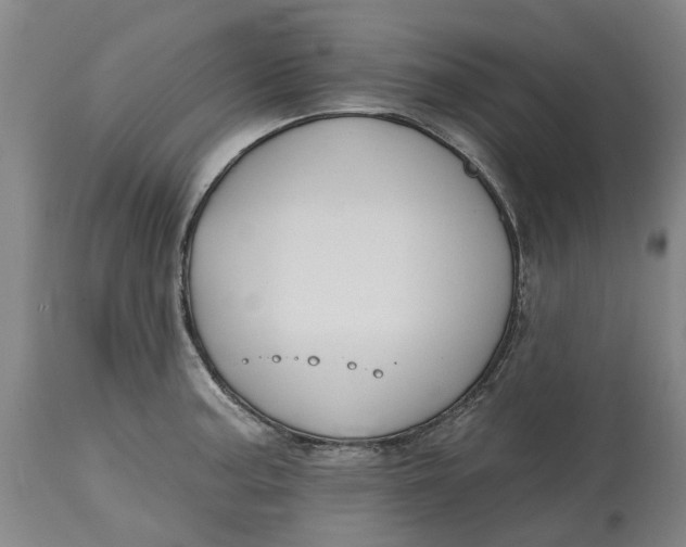 X0000114731187200911121748