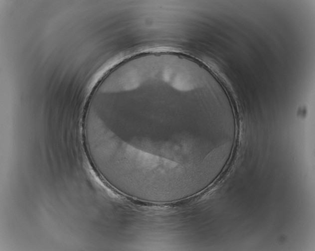 X0000114731189200911121748