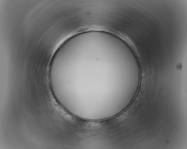 X0000114731190200911121748