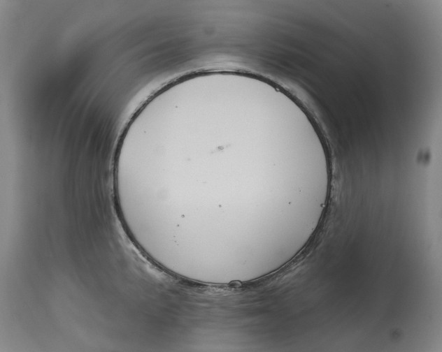 X0000114731191200911121748