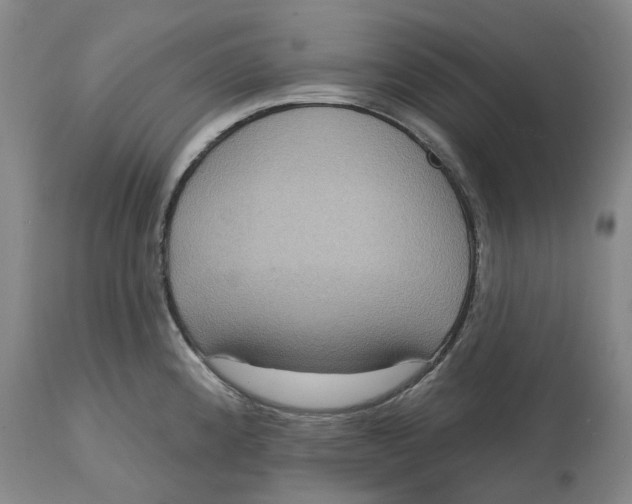 X0000114731192200911121748