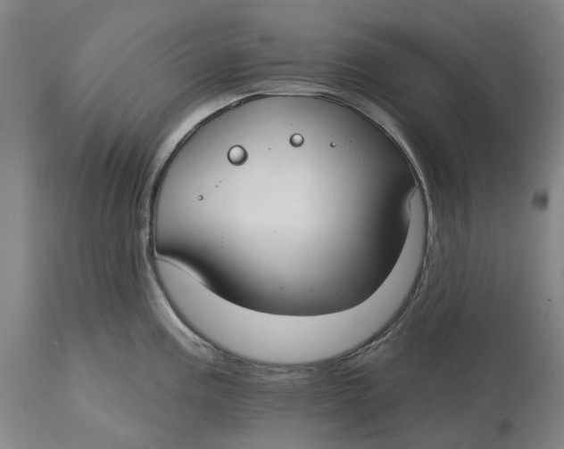 X0000114731195200911121748