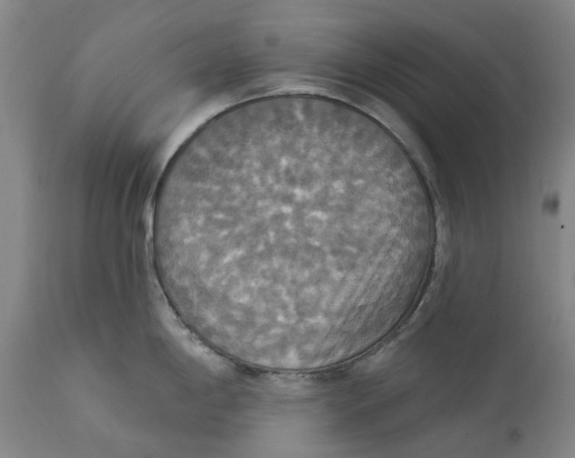 X0000114731198200911121748