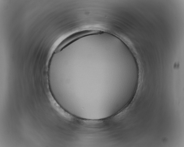 X0000114731200200911121748