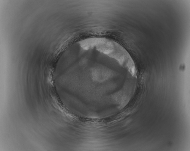 X0000114731202200911121747
