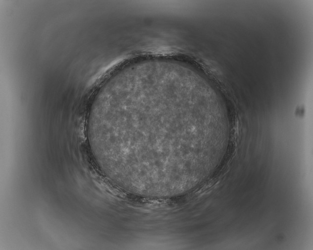 X0000114731205200911121747