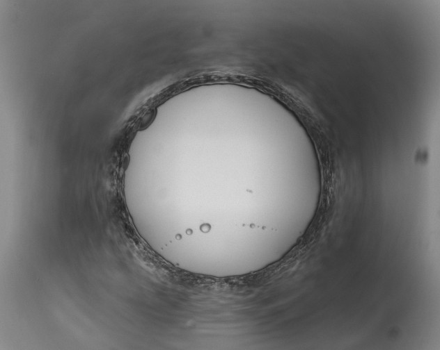 X0000114731207200911121747