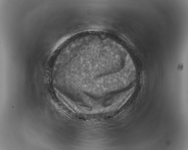 X0000114731208200911121747