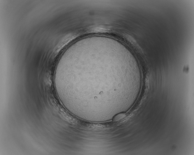 X0000114731209200911121747