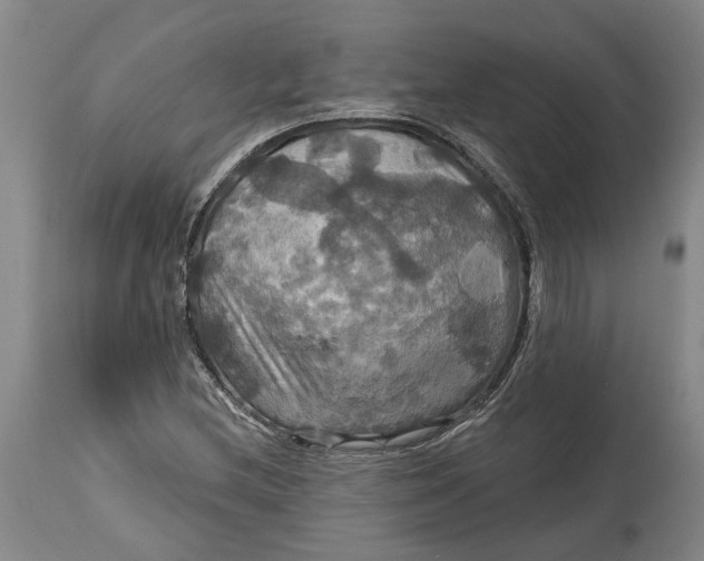 X0000114731212200911121747