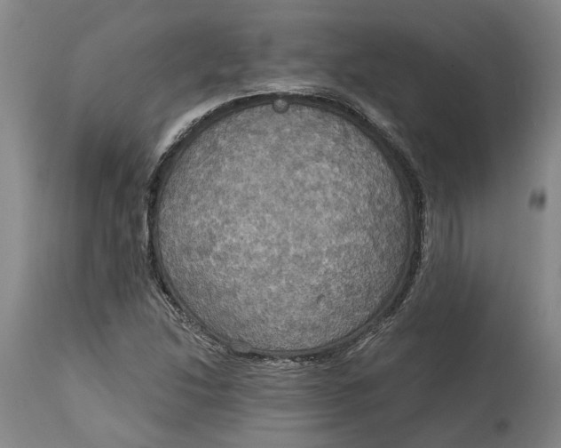 X0000114731214200911121747